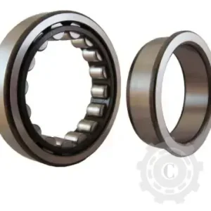 Preț promoțional RULMENT NJ2206 SKF