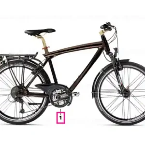 Chilipir BMW touring bike II BRAUN/GOLD / S