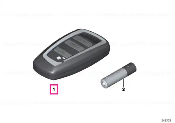 Telestart handheld transmitter - BMW Calitate înaltă