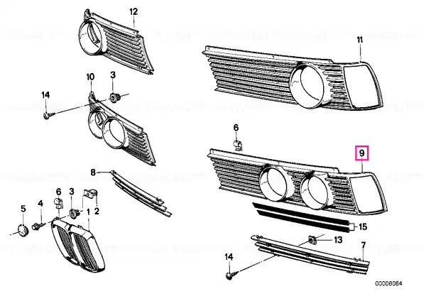 Grille left - BMW Expediere rapidă