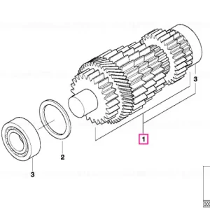 Arbore intermediar - BMW Motorrad Livrare expres