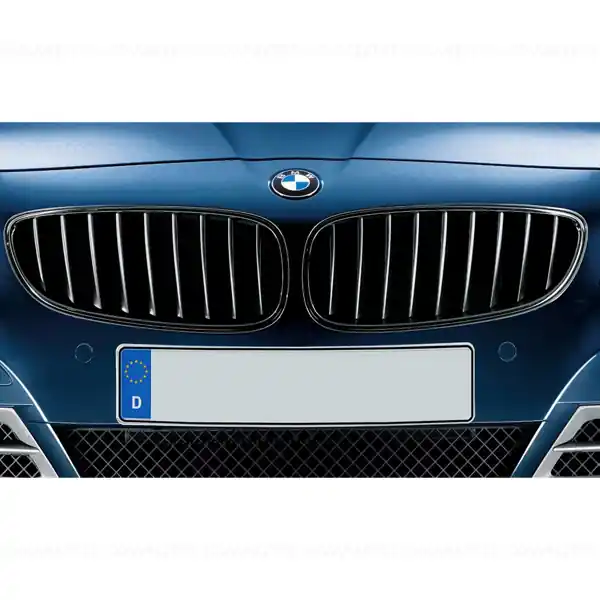 Grila fata stanga negru lucios "BMW M Performance" - BMW E89 Cumpără online